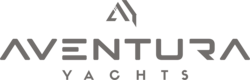 Thumb logo aventura 2023 gris