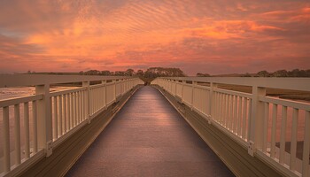 Otter Valley estuary footbridge at sunset