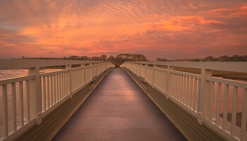 Otter Valley Estuary Fußgängerbrücke im Abendlicht